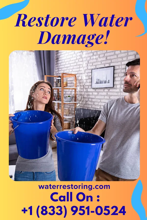 water restoration Patriot Disaster Cleanup LLC Osnabrock